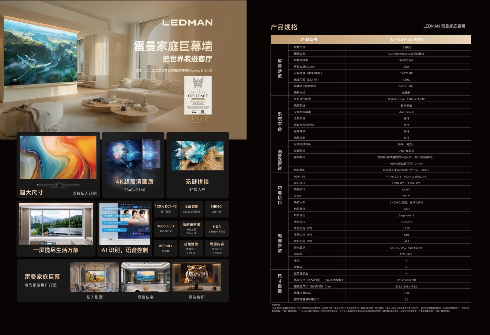 LEDMAN MAX 163